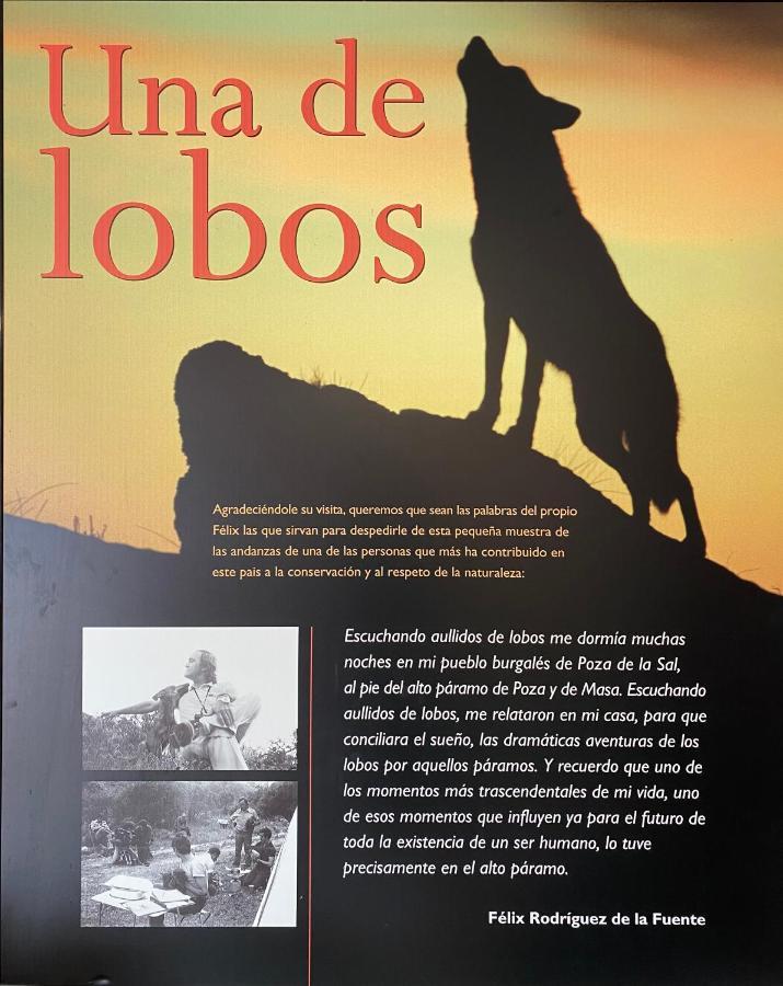 Vila Casa Salionca Poza de la Sal Exteriér fotografie